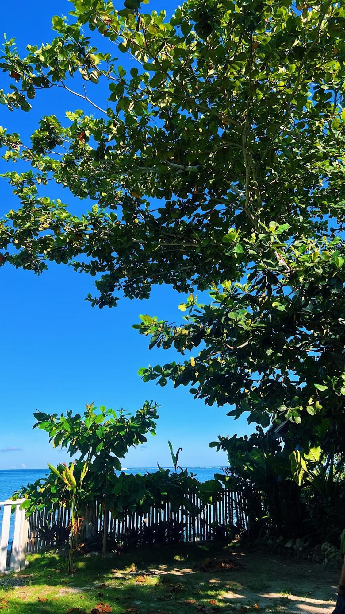 Happiness Beach Resort Siargao General Luna  Exterior foto